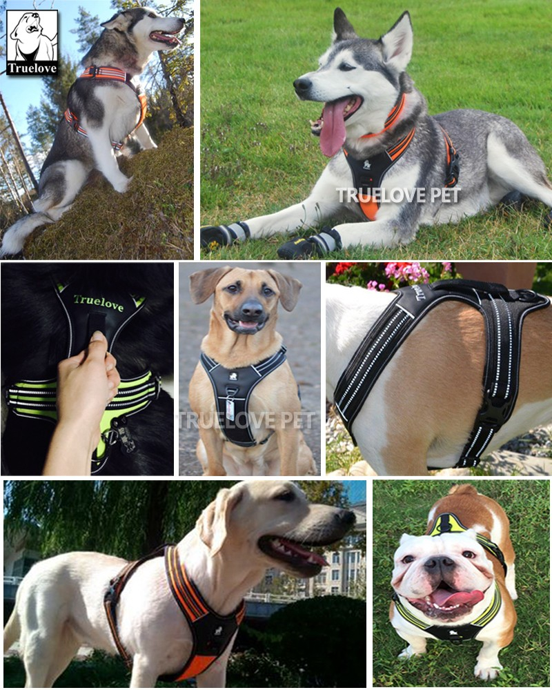 Truelove Sport Nylon Reflective No Pull Dog Harness Outdoor Adventure Pet Vest with Handle xs to xl 5 colors in stock factory