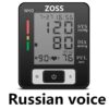 Russian Voice